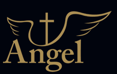 Логотип компании "Angel"